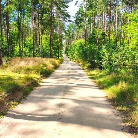 Hébergement de vacances Baby Jagi - Z Balia I Kominkiem W Lesie Posrod Jezior Niesiolowice