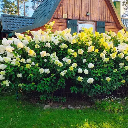 Baby Jagi - Z Balia I Kominkiem W Lesie Posrod Jezior