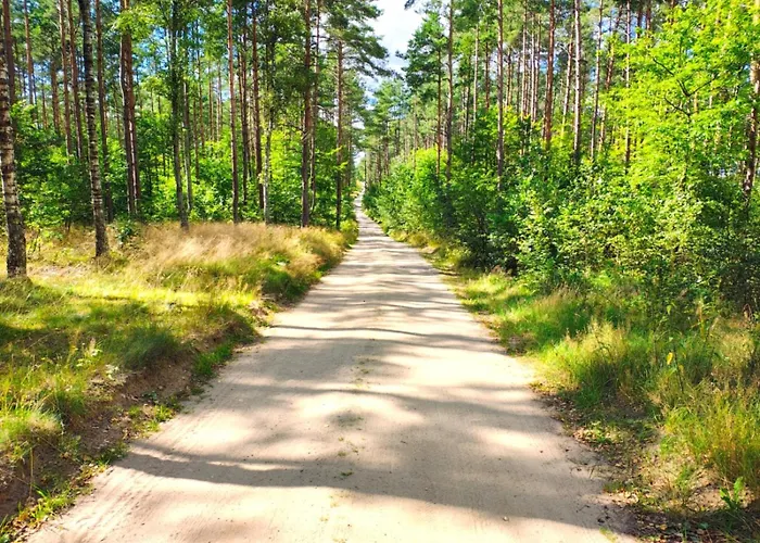 Prázdninový dům Baby Jagi - Z Balia I Kominkiem W Lesie Posrod Jezior Niesiolowice